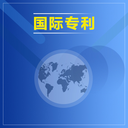 国际专利申请