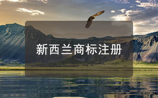 新西兰商标搜索技巧：保证你的商标通过审核